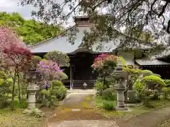 養樹院(圓通庵）(東京都)