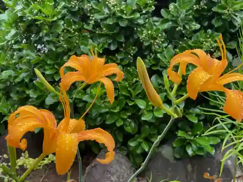 伊古奈比咩命神社の自然