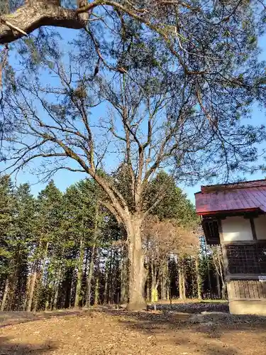 稲荷神社(北海道)