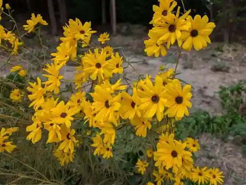 豊景神社(福島県)