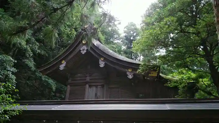 若狭姫神社(若狭彦神社下社)の本殿・本堂