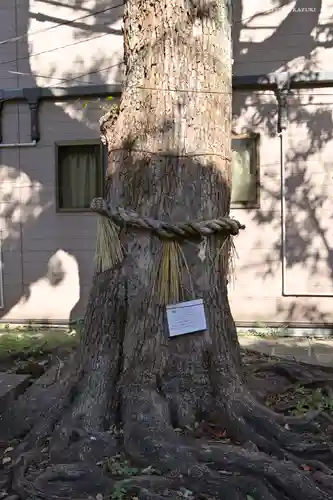 子神社(神奈川県)