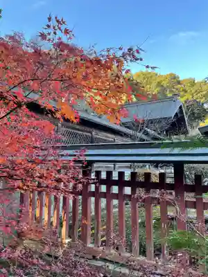 龍田大社の本殿・本堂