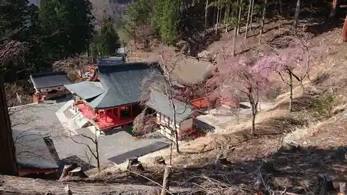 金櫻神社の景色