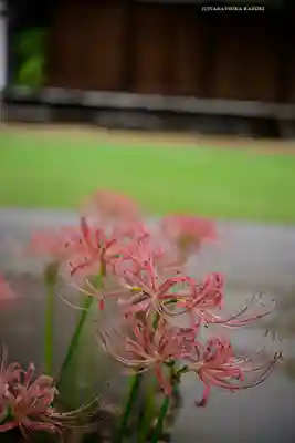横浜　西方寺(神奈川県)