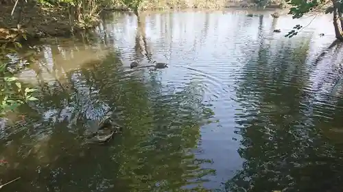 氷川女體神社の庭園