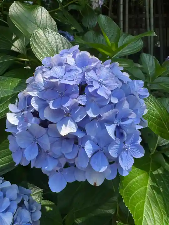 円覚寺(神奈川県)