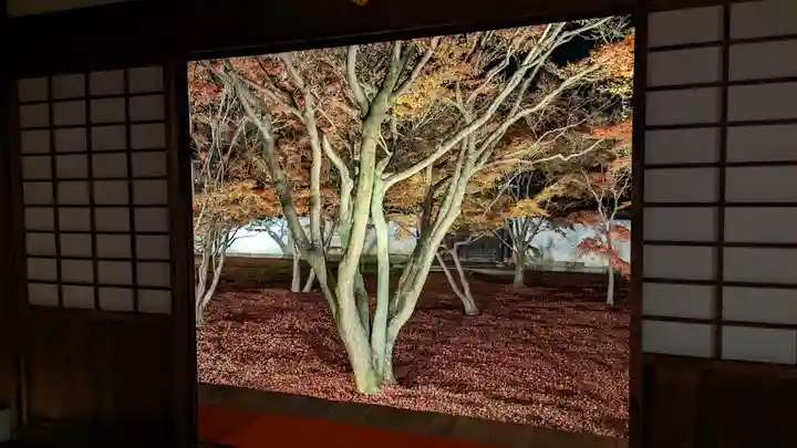 妙覺寺(妙覚寺)(京都府)