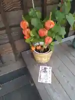 妙蓮寺(神奈川県)