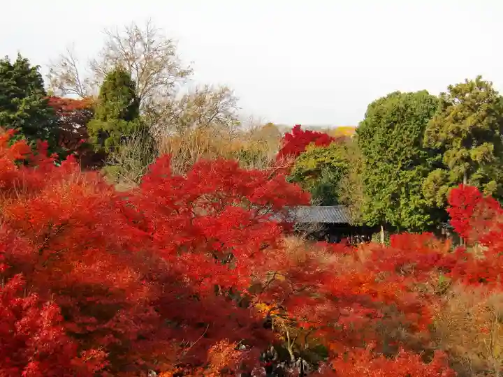 東福禅寺(東福寺)(京都府)
