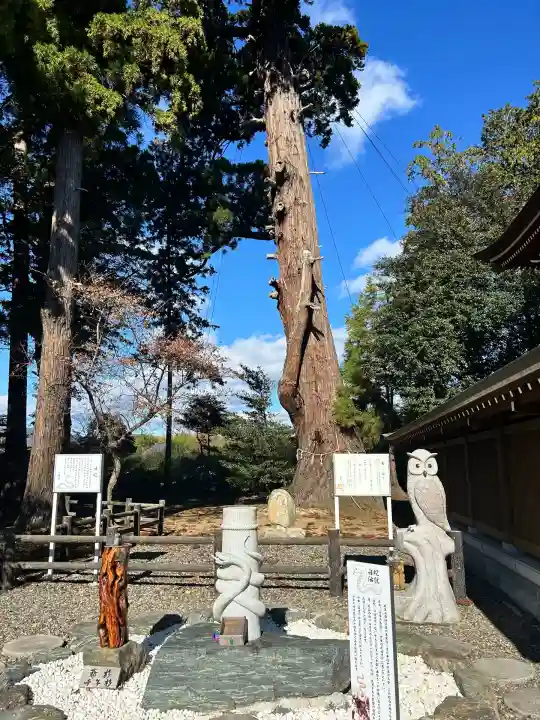 八幡宮(茨城県)