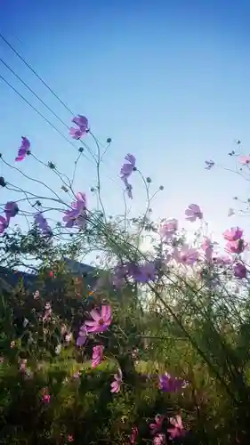 豊福稲荷社の周辺