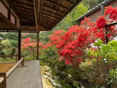 大雄院(京都府)