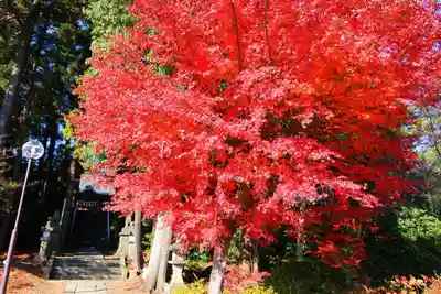 豊景神社の景色