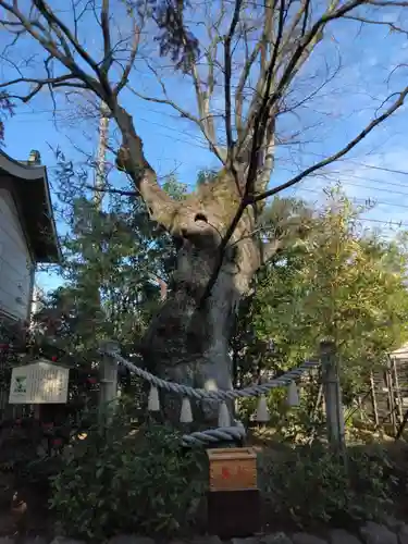 溝口神社(神奈川県)