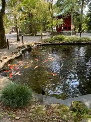 伊豆山神社(静岡県)