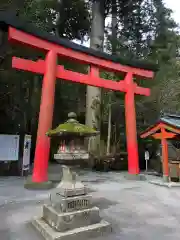 箱根神社の鳥居