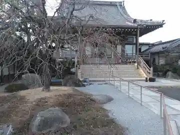 長得寺の本殿・本堂