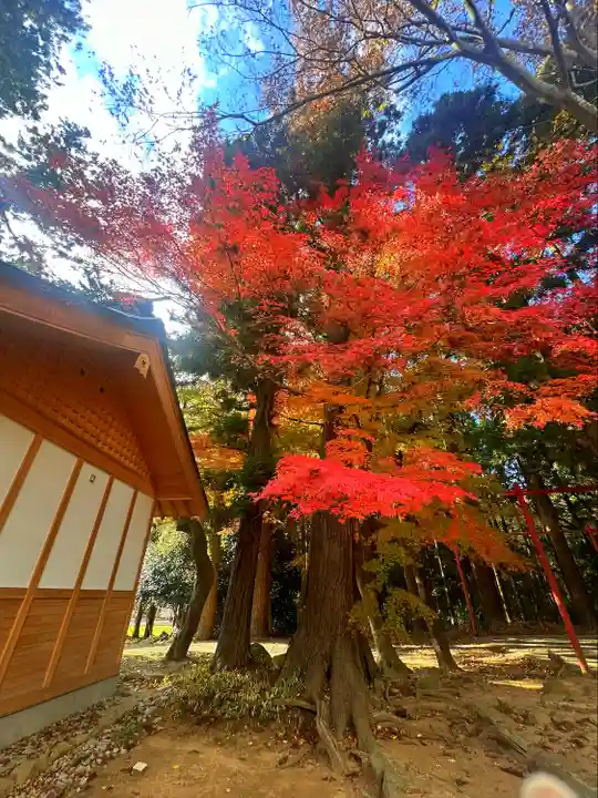 陸奥総社宮(宮城県)
