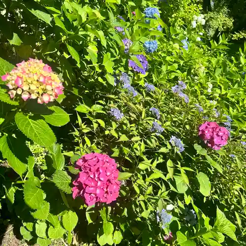 鷲子山上神社(栃木県)