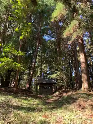 大杉神社(千葉県)