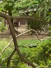 菊田神社の庭園