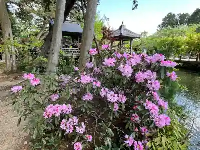 白毫寺熊野権現社(兵庫県)