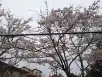 赤井八幡神社(宮城県)