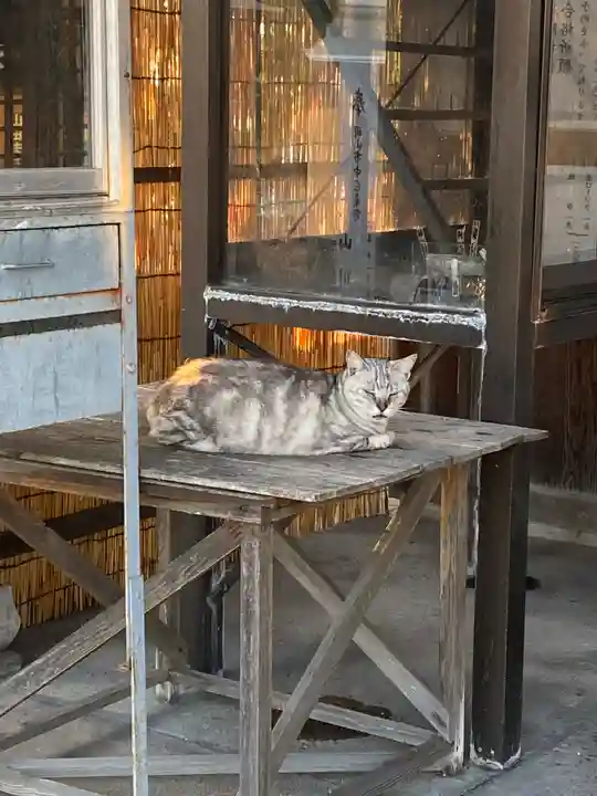 横樋観音(岡山県)