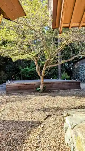 櫻木神社の建物その他