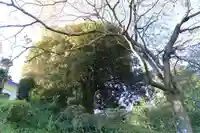 鹿島大神宮の庭園