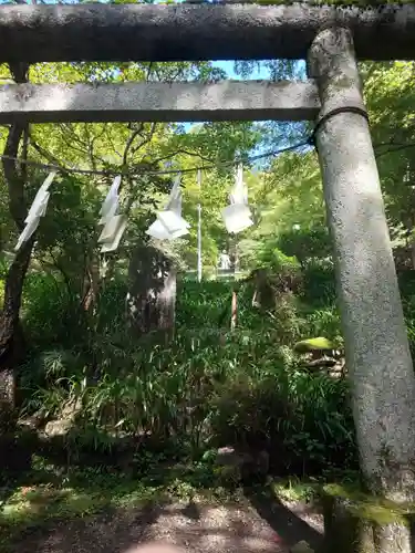 秩父御嶽神社の鳥居