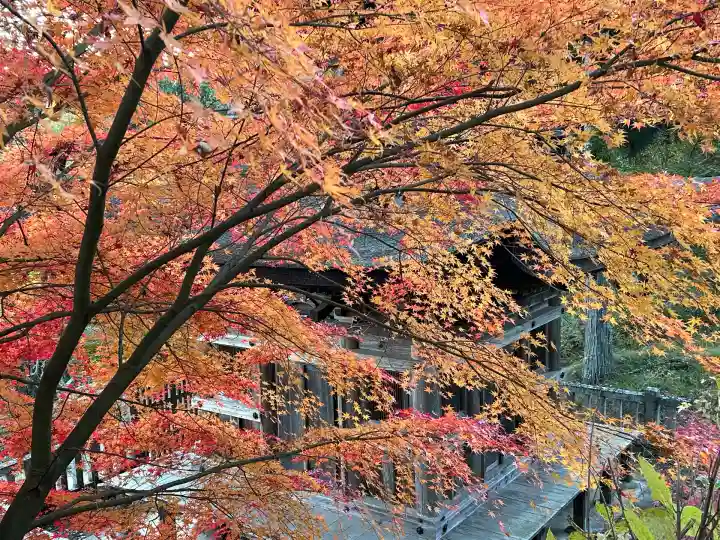 国宝 大法寺(長野県)