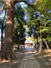 御霊神社(神奈川県)