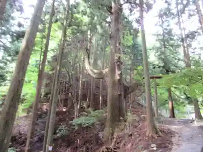 武蔵御嶽神社奥の院(東京都)