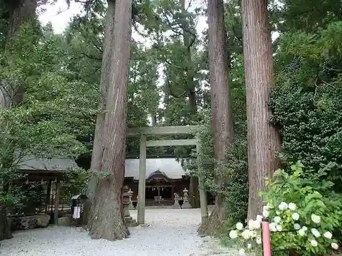 御杖神社の鳥居