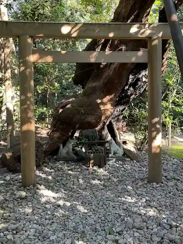 月夜見宮（豊受大神宮別宮）の自然