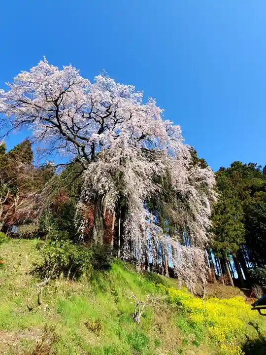 見渡神社の自然