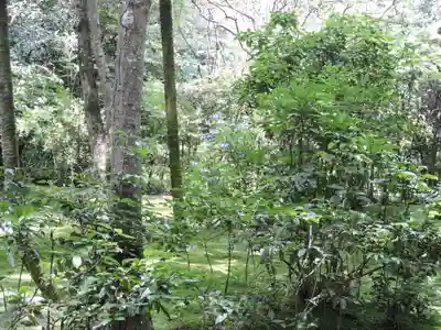 地蔵院(京都府)