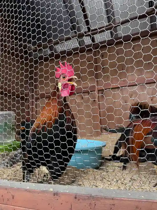 大甕神社(茨城県)