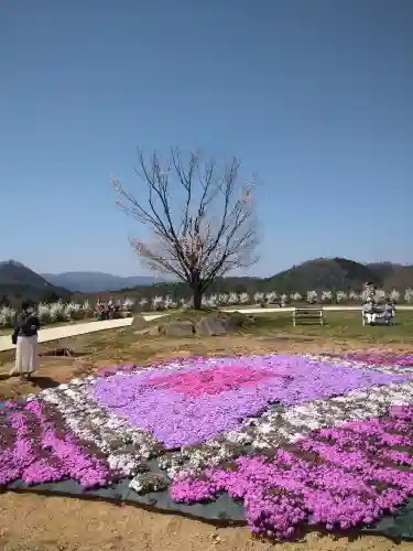 巳徳神社の自然