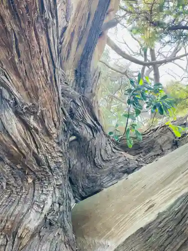大瀬神社(静岡県)