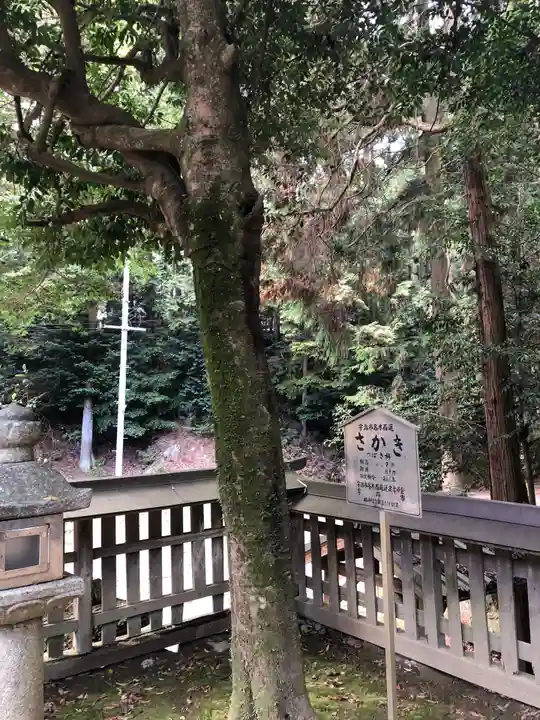 清瀧宮(東笠取清瀧宮)の自然