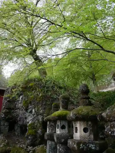 妙義神社(群馬県)
