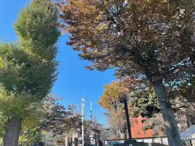 相模原氷川神社のその他建物