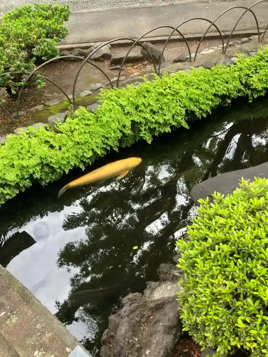 天祖諏訪神社の{uncategorized: "未分類", other: "その他", undefined: "問題あり", building: "その他建物", grave: "お墓", sacred_gate: "鳥居", guardian: "狛犬", statue: "像", buddha: "仏像", history: "歴史", nature: "自然", garden: "庭園", animal: "動物", pagoda: "塔", temizu: "手水舎", mountain_gate: "山門・神門", sanctuary: "本殿・本堂", subordinate: "末社・摂社", art: "芸術", scenery: "景色", jizo: "地蔵", ema: "絵馬", goshuin: "御朱印", omikuji: "おみくじ", items: "授与品その他", amulet: "お守り", goshuincho: "御朱印帳", eats: "食事", festival: "お祭り", votive_dance: "神楽", shichigosan: "七五三参", wedding: "結婚式", experience: "体験その他", initially: "初詣", around: "周辺", anti_infection: "感染症対策"}