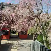 楽法寺(雨引観音)の自然