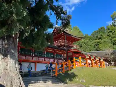 春日大社(奈良県)