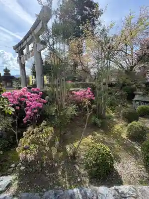 神田神社の{uncategorized: "未分類", other: "その他", undefined: "問題あり", building: "その他建物", grave: "お墓", sacred_gate: "鳥居", guardian: "狛犬", statue: "像", buddha: "仏像", history: "歴史", nature: "自然", garden: "庭園", animal: "動物", pagoda: "塔", temizu: "手水舎", mountain_gate: "山門・神門", sanctuary: "本殿・本堂", subordinate: "末社・摂社", art: "芸術", scenery: "景色", jizo: "地蔵", ema: "絵馬", goshuin: "御朱印", omikuji: "おみくじ", items: "授与品その他", amulet: "お守り", goshuincho: "御朱印帳", eats: "食事", festival: "お祭り", votive_dance: "神楽", shichigosan: "七五三参", wedding: "結婚式", experience: "体験その他", initially: "初詣", around: "周辺", anti_infection: "感染症対策"}