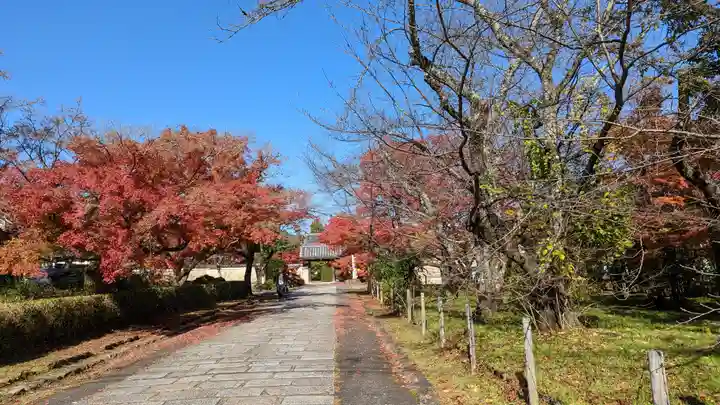 神光院(京都府)